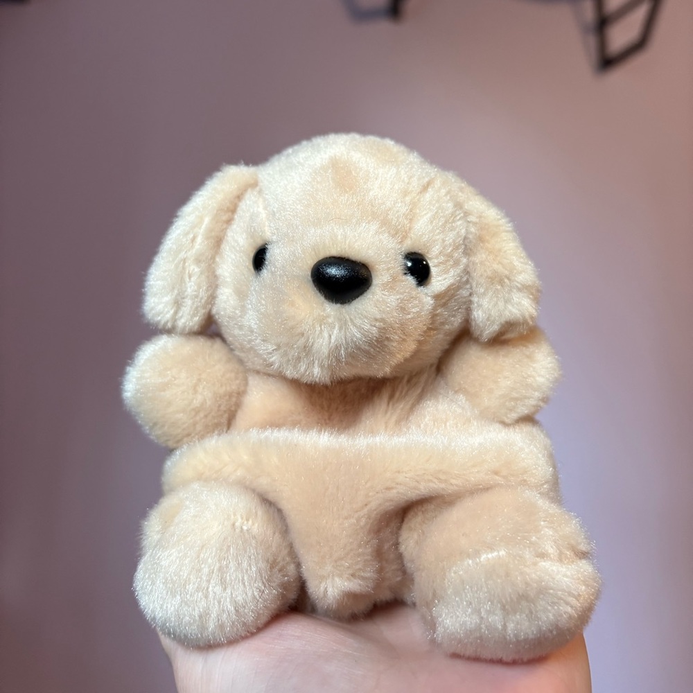 Palm Pals Sunny Lab™